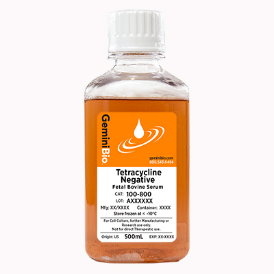 Tet Neg; Tetracycline Negative, FBS, Fetal Bovine Serum