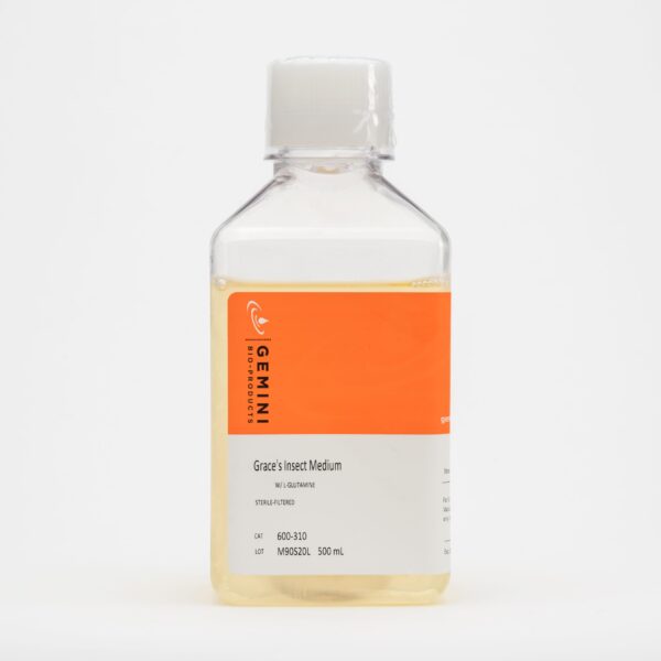 美惠三女神昆虫媒介